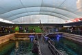 Centre view of Dugong Island at Sea Life Sydney Aquarium where there are two dugongs namely Pig and Wuru Royalty Free Stock Photo