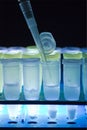 Centrifuge tubes and pipette Royalty Free Stock Photo