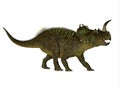 Centrosaurus Ceratopsian Dinosaur