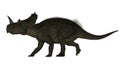 Centrosaurus dinosaur - 3D render Royalty Free Stock Photo