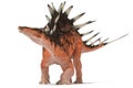 Centrosaurus set of angles on a white background
