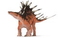 Centrosaurus set of angles on a white background Royalty Free Stock Photo