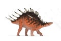 Centrosaurus set of angles on a white background