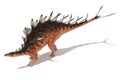 Centrosaurus set of angles on a white background