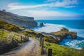 Dunedin Tunnel Beach