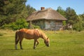 Ethnographic Open-Air Museum. Riga. Latvia