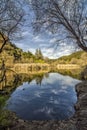 Century Lake Vertical Royalty Free Stock Photo