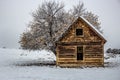 Century Old Pioneer Cabin in the Plateau Valley, Colorado Royalty Free Stock Photo