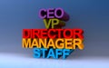 ceo vp director manager staff on blue