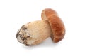 Cep Royalty Free Stock Photo