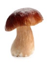 Cep