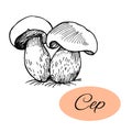 Cep Ink Drawing