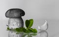 Cep porcini boletus twins with oregano and garlic artistic touch backdrop with copy space Royalty Free Stock Photo