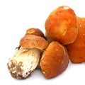 Ceps