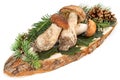 Ceps and leaves on cutting board