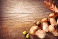 Ceps mushroom. Boletus on wooden rustic table