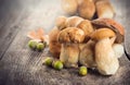 Ceps mushroom. Boletus on wooden rustic table