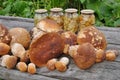 Ceps before processing. Royalty Free Stock Photo