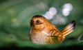 Ceramic baby bird chick figurine sitting against blurry green background