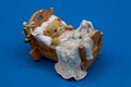 ceramic bear figurine