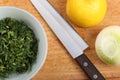 Ceramic bowl with chopped dill leaves, lemon, onion and kitchen knife on a cutting board Royalty Free Stock Photo