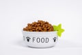 Ceramic bowl with heap of dry pet food decorated with silicone slice of exotic fruit on white background, front view.