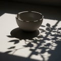 A ceramic bowl sits on a surface its shadow merging with the Royalty Free Stock Photo
