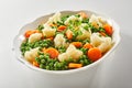 Ceramic bowl of tender steamed mixed vegetables