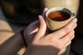 Chinese tea ceremony. Ceramic teapot made of clay and bowls. Generative ai Royalty Free Stock Photo