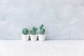 Ceramic Cactus on a white background, minimalism photo.