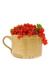 Ceramic cup full of fresh red currant berries. Royalty Free Stock Photo