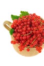 Ceramic cup full of fresh red currant berries Royalty Free Stock Photo