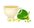 Ceramic Cup with Hot Lime Tea and Small-leaved Linden or Tilia Cordata Blossom Rested Nearby Vector Illustration Royalty Free Stock Photo