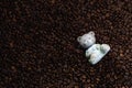 Ceramic figurine of a bear on a background of coffee beans Royalty Free Stock Photo