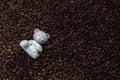 Ceramic figurine of a bear on a background of coffee beans Royalty Free Stock Photo
