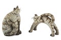 Ceramic figurine cats, isolated on white background Royalty Free Stock Photo