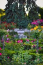 Ceramic flower pot surrounded by roses plants at Park of Roses, Timisoara Royalty Free Stock Photo