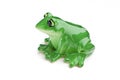 Ceramic frog Royalty Free Stock Photo