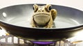 Frogs boiling in a pot on a stove Royalty Free Stock Photo