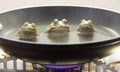 Frogs boiling in a pot on a stove Royalty Free Stock Photo