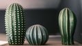 Ceramic Green Cactus home furnitures for kitchen.