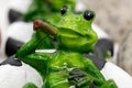 Ceramic green frog in a frivolous pose Royalty Free Stock Photo