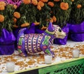 This ceramic hairless (and often toothless) Mexican dog was typi Royalty Free Stock Photo