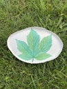 Ceramic handmade plate with a green maple leaf