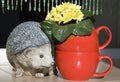 Ceramic hedgehog and red cups with flowers Royalty Free Stock Photo