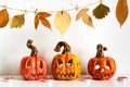 Ceramic Jack Lanterns and autumn leaves garland on table wall background. Home decoration