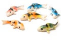 Ceramic of Koi fish sculptors. Use to decorate Royalty Free Stock Photo