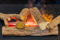 Ceramic Logs Fireplace