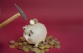 Ceramic money saving pig. Piggy bank