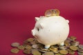 Ceramic money saving pig. Piggy bank